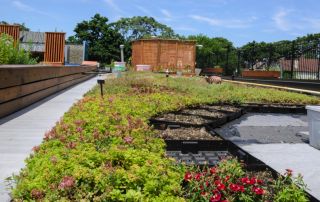 Commercial Green Roofing with RubberGard EPDM