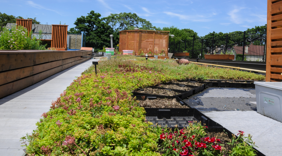 Commercial Green Roofing with RubberGard EPDM